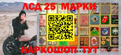 стафф Ярославль